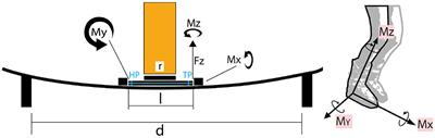 Method to Investigate Multi-Axis Release Action of Ski Safety Bindings: A New Approach for Testing in Research and Development